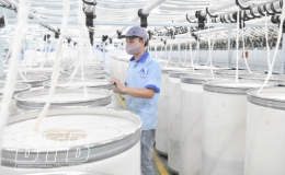 Kỳ 2: Cụ thể h&oacute;a bằng h&agrave;nh động với quyết t&acirc;m v&agrave; nỗ lực cao nhất