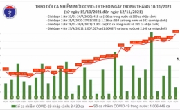 Ng&agrave;y 12/11: C&oacute; 8.982 ca mắc Covid-19 tại 56 tỉnh, th&agrave;nh; hơn 10.200 bệnh nh&acirc;n khỏi