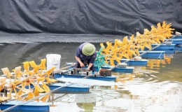 Ph&aacute;t huy tiềm năng, lợi thế ph&aacute;t triển thủy sản bền vững