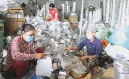 Vũ Hội: Giữ nhịp l&agrave;ng nghề