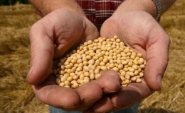 C&aacute;c sản phẩm biến đổi gene chưa được người ti&ecirc;u d&ugrave;ng ưa chuộng