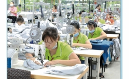 Cục Thuế tỉnh: Nỗ lực để duy tr&igrave; chỉ số DDCI