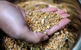 Israel t&igrave;m "ch&igrave;a kh&oacute;a" đảm bảo nguồn cung lương thực trong tương lai