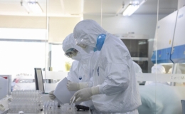 Ng&agrave;y 19/11: Th&ecirc;m 259 ca mắc COVID-19 mới