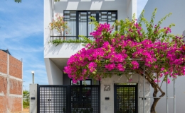 Nh&agrave; ống mở trần cho nắng xuy&ecirc;n thẳng v&agrave;o trong