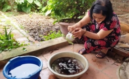 Nhiều khu vực n&ocirc;ng th&ocirc;n ở H&agrave; Nội đang kh&aacute;t nước sạch