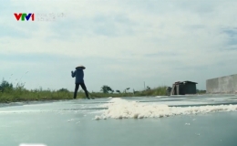 Phim t&agrave;i liệu: Đời muối 