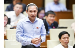 Quốc hội tiến h&agrave;nh chất vấn v&agrave; trả lời chất vấn