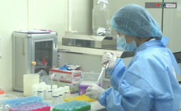 Th&ecirc;m 442 ca mắc COVID-19 mới