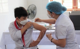 T&igrave;nh h&igrave;nh dịch Covid-19 đến ng&agrave;y 8/11