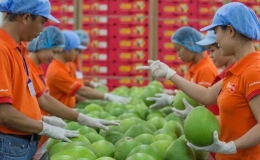 10 th&aacute;ng năm 2023: Xuất khẩu n&ocirc;ng, l&acirc;m, thủy sản ước đạt hơn 43 tỷ USD