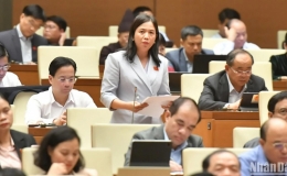 &Aacute;p dụng thuế tối thiểu to&agrave;n cầu mang lại nhiều cơ hội mới cho Việt Nam