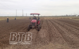 N&eacute;t mới trong sản xuất c&acirc;y vụ đ&ocirc;ng ở Kiến Xương