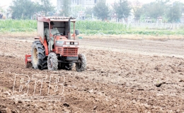 Tiền Hải: Giữ diện t&iacute;ch, n&acirc;ng cao gi&aacute; trị sản xuất c&acirc;y vụ đ&ocirc;ng