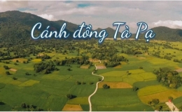 Gh&eacute; An Giang m&ugrave;a l&uacute;a ch&iacute;n ngắm nh&igrave;n c&aacute;nh đồng T&agrave; Pạ độc đ&aacute;o, đủ &ocirc; sắc m&agrave;u