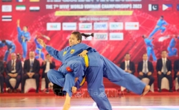 Giải v&ocirc; địch Vovinam thế giới lần thứ VII năm 2023