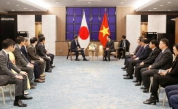 Khẩn trương triển khai v&agrave; tiếp tục đưa c&aacute;c chương tr&igrave;nh hợp t&aacute;c Việt Nam-Nhật Bản đạt hiệu quả to&agrave;n diện, s&acirc;u sắc