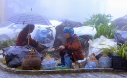 Kh&ocirc;ng kh&iacute; lạnh tăng cường, v&ugrave;ng n&uacute;i cao c&oacute; nơi dưới 10 độ C