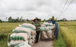 Kỳ II: Nhận diện những kh&oacute; khăn