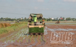 Kỳ III: Tạo động lực bằng cơ chế, ch&iacute;nh s&aacute;ch (tiếp theo v&agrave; hết)