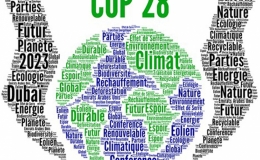 Th&ocirc;ng tin về Hội nghị thượng đỉnh H&agrave;nh động kh&iacute; hậu thế giới trong khu&ocirc;n khổ COP28