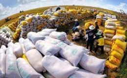 Xuất khẩu gạo lập kỷ lục