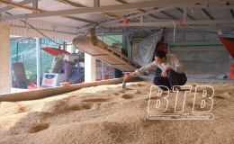 Hỗ trợ n&ocirc;ng d&acirc;n t&iacute;ch tụ ruộng đất