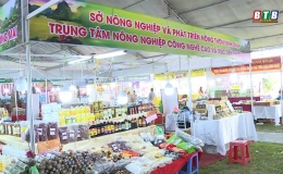 Hội chợ n&ocirc;ng nghiệp quốc tế khu vực đồng bằng Bắc Bộ 2024 - Đồng h&agrave;nh c&ugrave;ng doanh nghiệp, hợp t&aacute;c x&atilde; ph&aacute;t triển