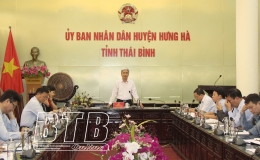 Hưng H&agrave;: Phấn đấu gieo cấy 10.300ha l&uacute;a, 2.500ha c&acirc;y m&agrave;u xu&acirc;n năm 2025