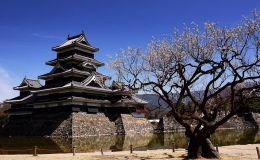 Kh&aacute;m ph&aacute; l&acirc;u đ&agrave;i c&oacute; 47 th&aacute;p ph&aacute;o tại Nhật Bản