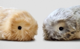 Nhật Bản ra mắt thỏ cưng AI