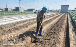 Niềm vui tr&ecirc;n những c&aacute;nh đồng vụ đ&ocirc;ng