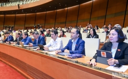 T&agrave;u bay kh&ocirc;ng người l&aacute;i phải được đăng k&yacute; trước khi đưa v&agrave;o khai th&aacute;c, sử dụng