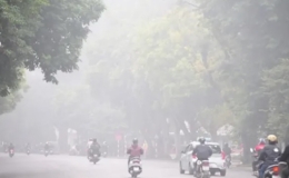 Thời tiết ng&agrave;y 14/11: Bắc Bộ s&aacute;ng sớm sương m&ugrave; nhẹ