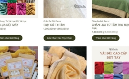 Th&uacute;c đẩy doanh nghiệp ứng dụng thương mại điện tử để ph&aacute;t triển