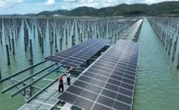 Th&uacute;c đẩy năng lượng t&aacute;i tạo: C&acirc;u chuyện truyền cảm hứng từ Trung Quốc