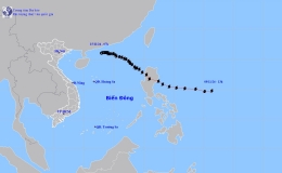 Tin cuối c&ugrave;ng về cơn b&atilde;o số 8