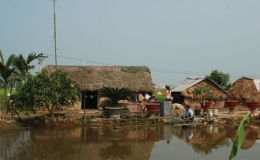 Quy hoạch v&agrave; ph&aacute;t triển chăn nu&ocirc;i theo hướng bền vững