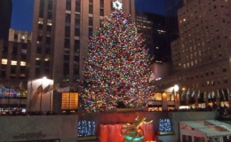 10 c&acirc;y th&ocirc;ng&nbsp;Noel ấn tượng nhất thế giới 