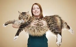 Những kỷ lục Guinness th&uacute; vị năm 2017
