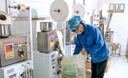 Gắn dạy nghề, giải quyết việc l&agrave;m  với giảm ngh&egrave;o bền vững