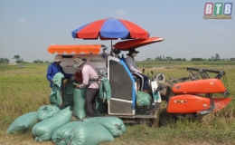 N&ocirc;ng d&acirc;n to&agrave;n tỉnh g&oacute;p 2.100 tỷ đồng x&acirc;y dựng n&ocirc;ng th&ocirc;n mới