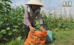 Nhiều m&ocirc; h&igrave;nh hiệu quả ở Hội Phụ nữ Kiến Xương