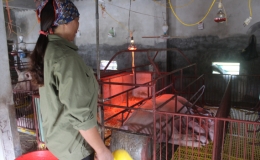 Đ&ocirc;ng Vinh: Ph&aacute;t huy vai tr&ograve; của n&ocirc;ng d&acirc;n x&acirc;y dựng n&ocirc;ng th&ocirc;n mới