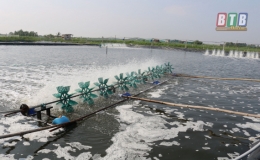 Hỗ trợ mỗi huyện, th&agrave;nh phố 1 tỷ đồng ph&aacute;t triển c&aacute;c sản phẩm đặc th&ugrave;