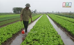 Th&agrave;nh phố: Tỷ lệ hộ ngh&egrave;o giảm c&ograve;n 2,18%