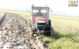 Vũ Thư: Nhiều địa phương chậm tiến độ c&agrave;y ải