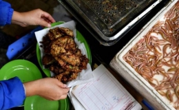 B&aacute;o Ph&aacute;p khen ngợi m&oacute;n chả rươi nức tiếng của Việt Nam