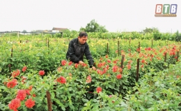 B&aacute;ch Thuận: Nhộn nhịp v&agrave;o xu&acirc;n