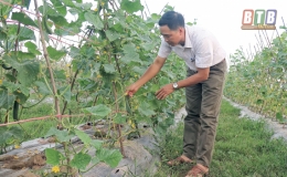 Niềm vui tr&ecirc;n những c&aacute;nh đồng v&agrave;ng 